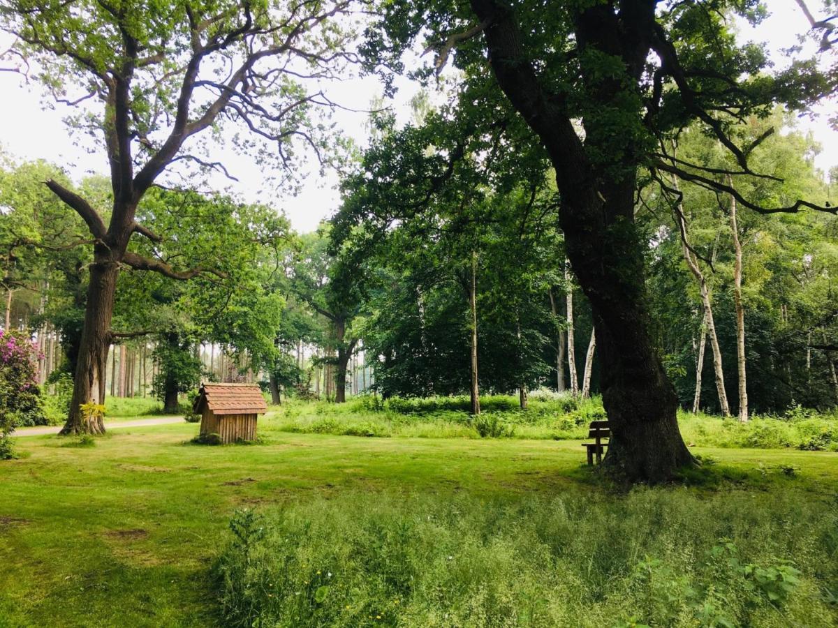 Hollicarrs Holiday Park - Hares Leap Riccall Exterior photo